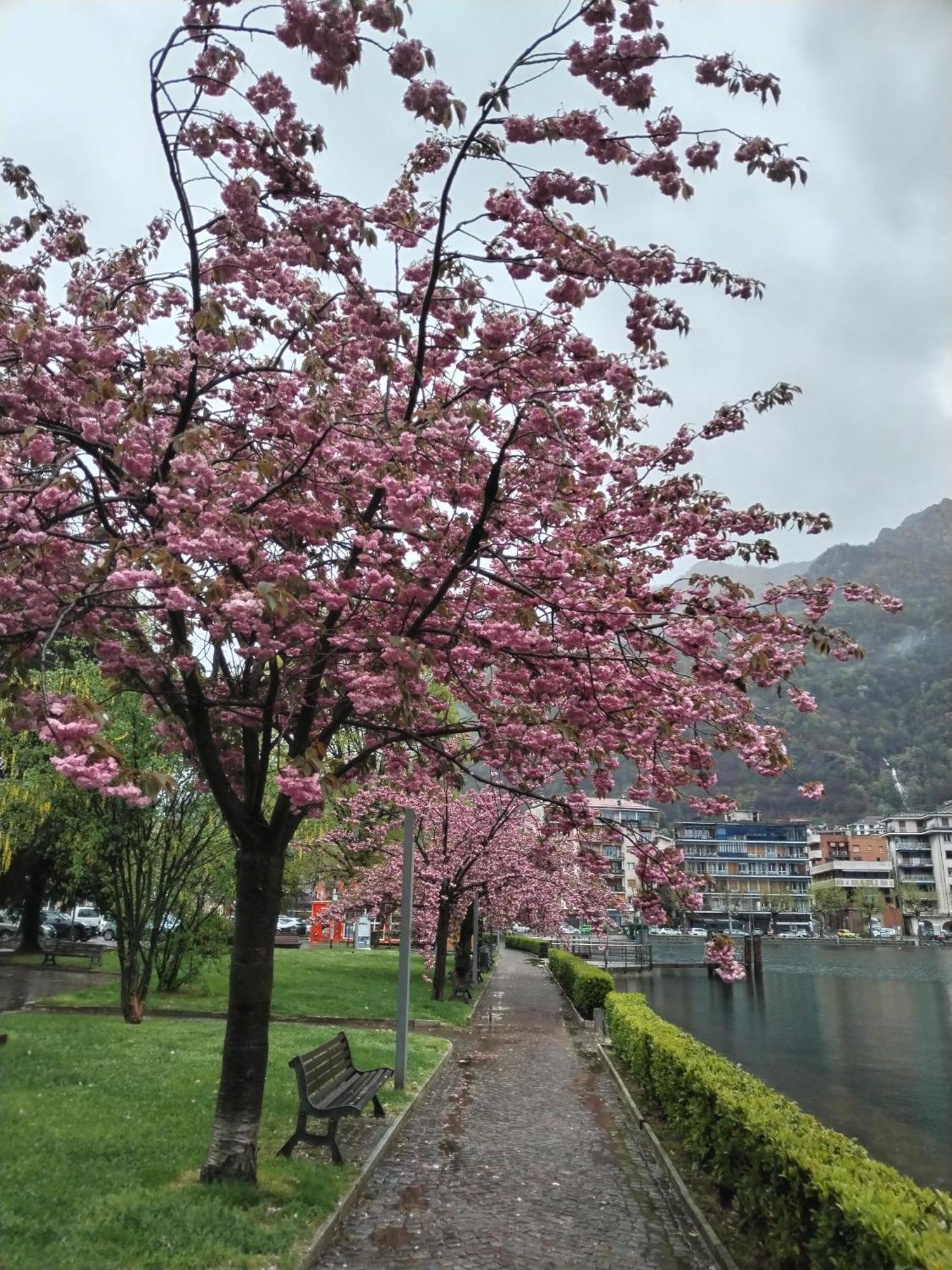 Un Balcone Sul Lago Omegna Exterior foto
